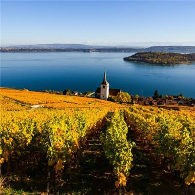 beat365下载唯一官方网