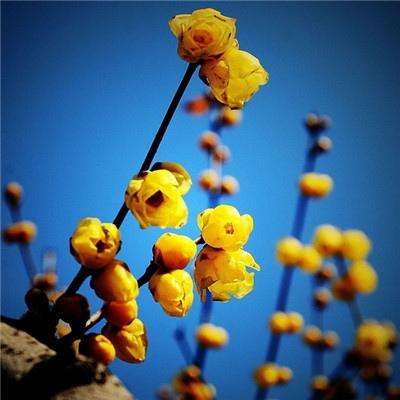 星空体育aop截图