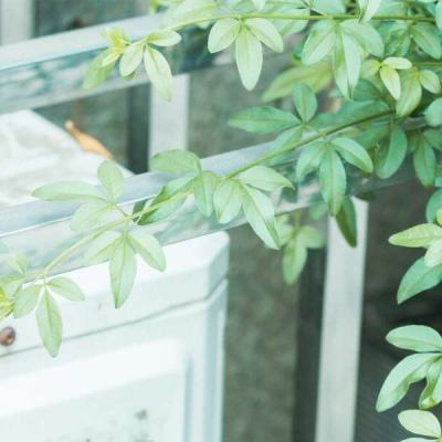 澳博在线官网娱乐游戏