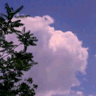 新世纪棋牌下载手机版