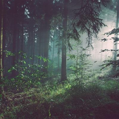 双赢彩票官方网站手机app下载